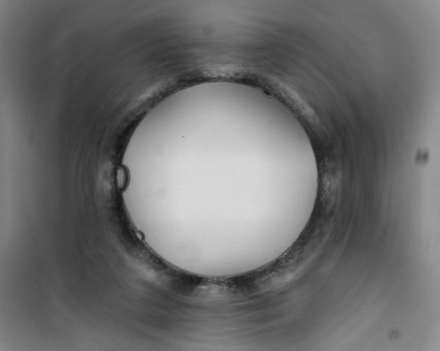 X0000100970211200807151359