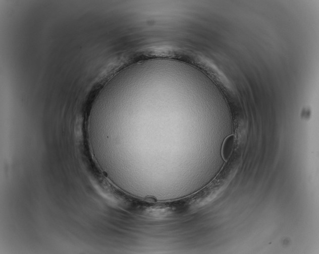 X0000100970213200807151359