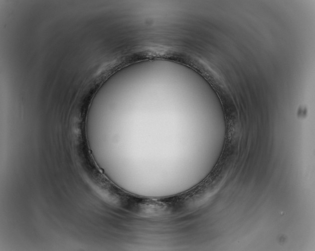 X0000100970215200807151359