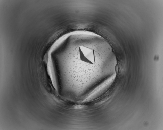 X0000100970216200807151359
