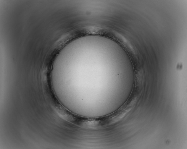 X0000100970217200807151359