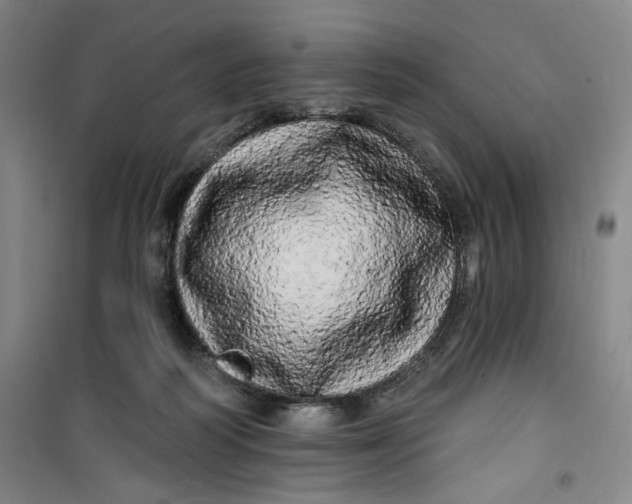 X0000100970218200807151359