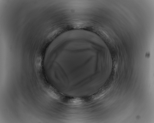 X0000100970219200807151359