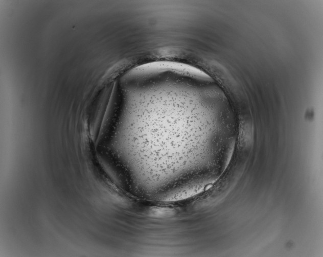 X0000100970220200807151359