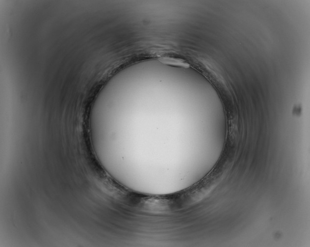 X0000100970221200807151359