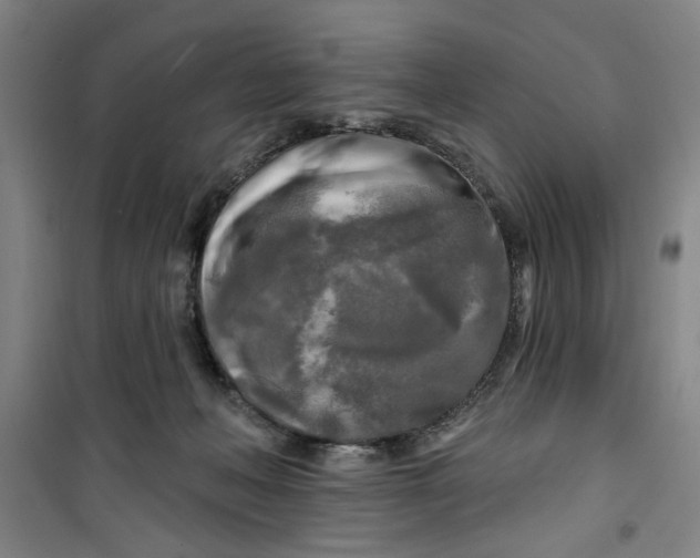 X0000100970222200807151359
