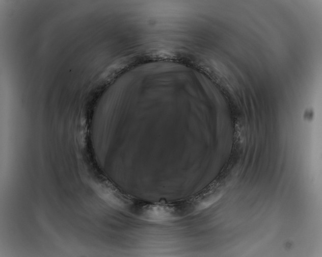 X0000100970223200807151359