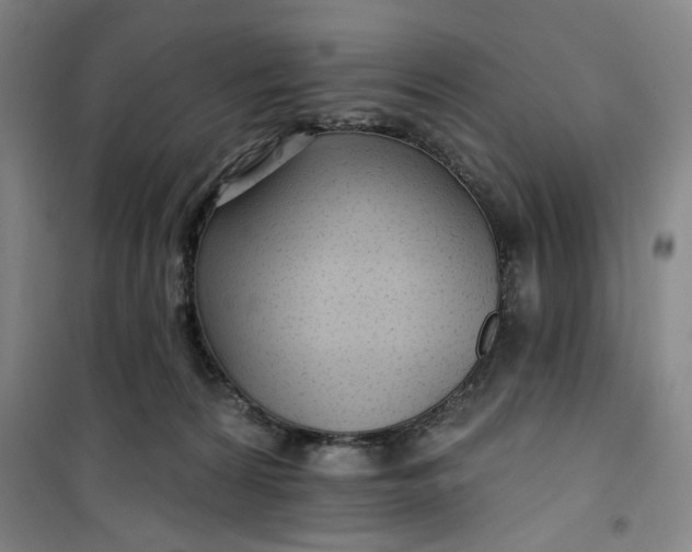 X0000100970224200807151359