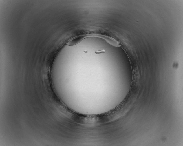 X0000100970225200807151359