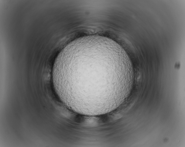 X0000100970226200807151359