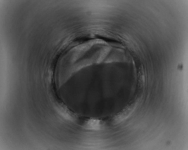 X0000100970227200807151359