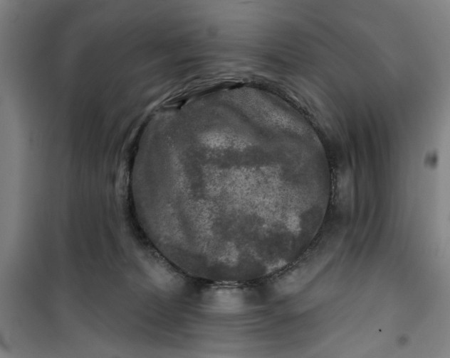 X0000100970228200807151359