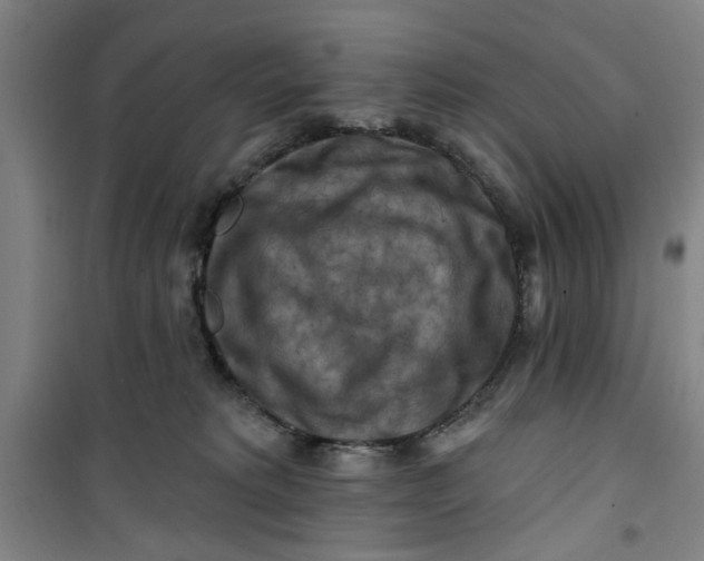 X0000100970229200807151359