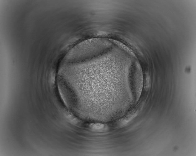 X0000100970230200807151359