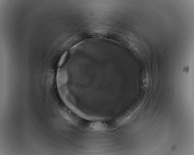 X0000100970231200807151359