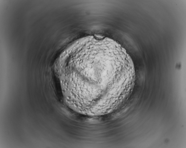 X0000100970232200807151359