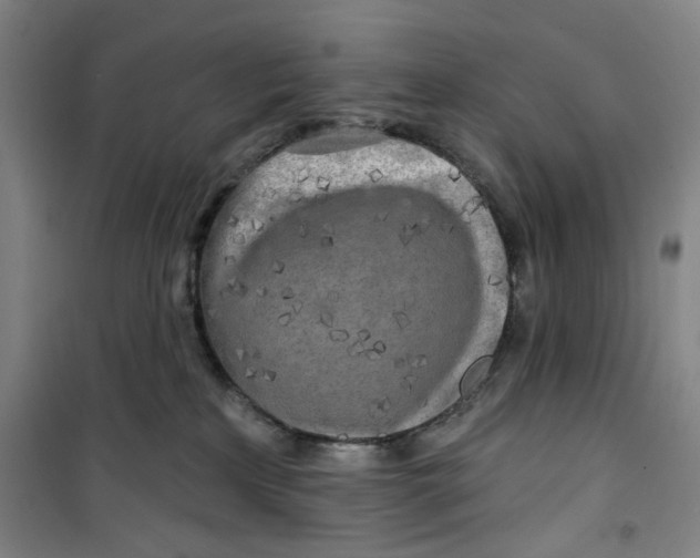 X0000100970233200807151359