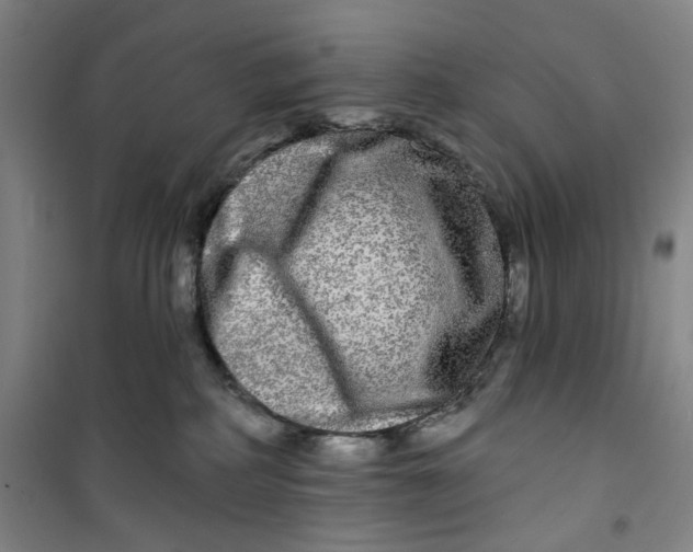 X0000100970234200807151359