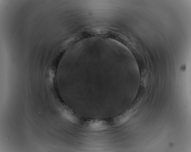 X0000100970235200807151359