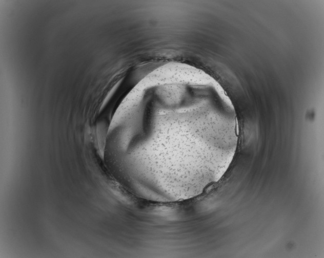 X0000100970236200807151359