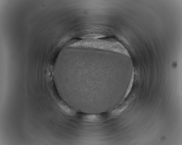 X0000100970237200807151359