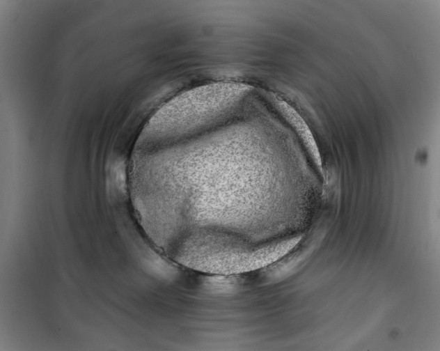 X0000100970238200807151359