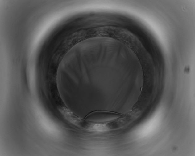 X0000100970239200807151359