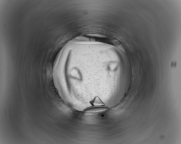 X0000100970240200807151359