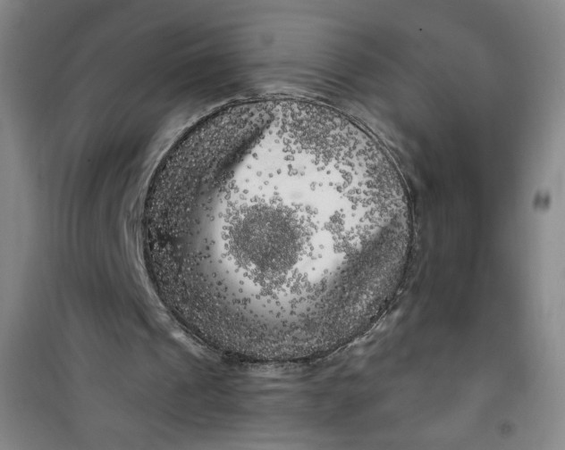 X0000100970241200807151358