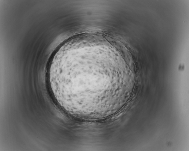 X0000100970242200807151358