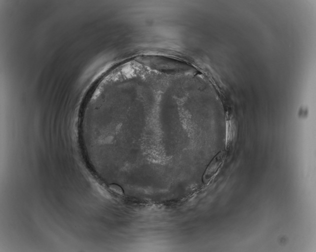 X0000100970243200807151358