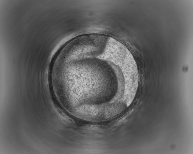 X0000100970244200807151358