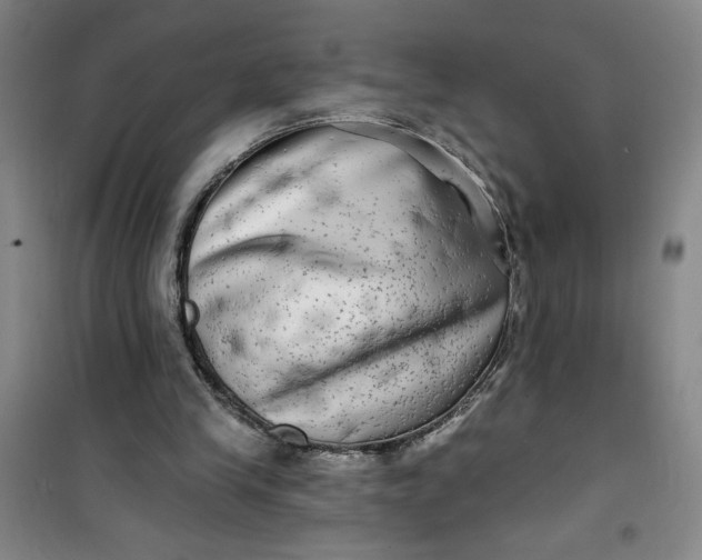 X0000100970245200807151358