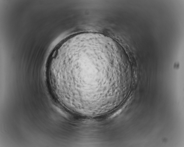 X0000100970246200807151358