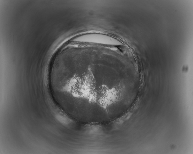 X0000100970247200807151358
