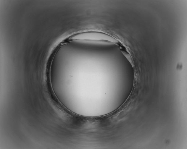 X0000100970248200807151358