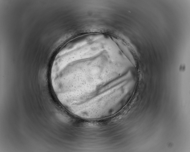 X0000100970250200807151358