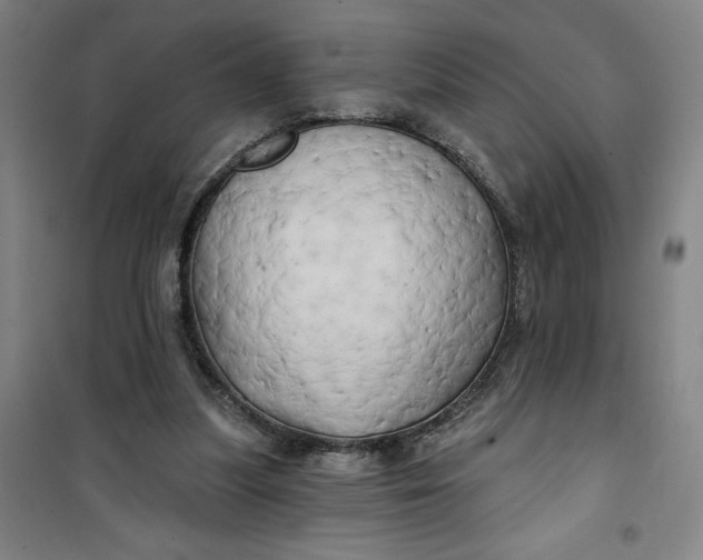 X0000100970251200807151358