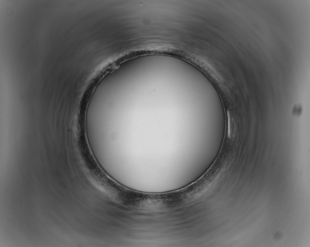 X0000100970252200807151358