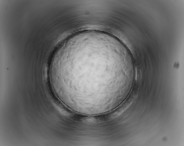 X0000100970253200807151358