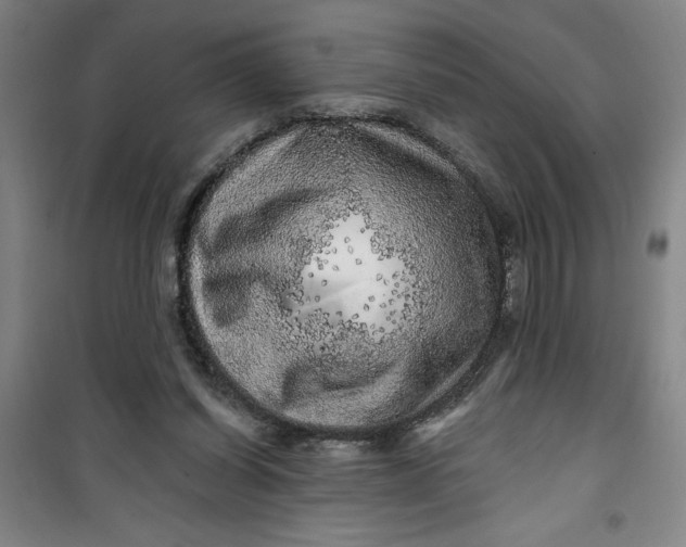 X0000100970254200807151358