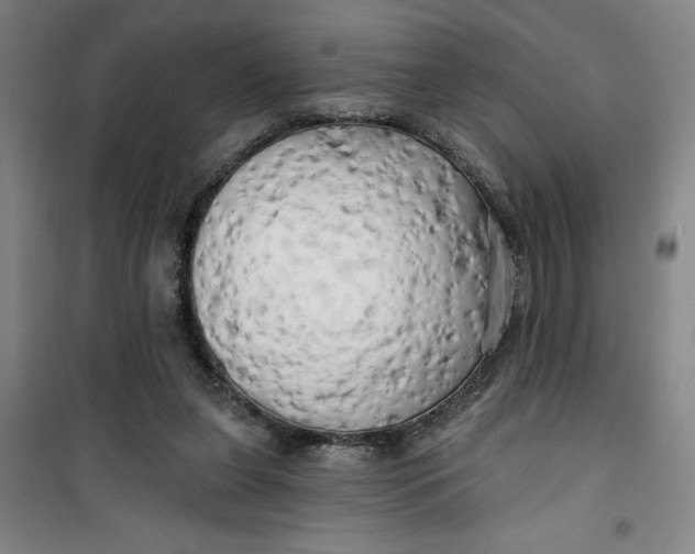 X0000100970255200807151358