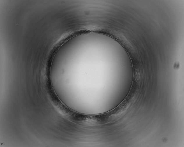 X0000100970256200807151358