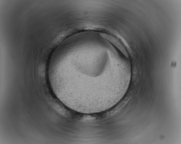 X0000100970257200807151358