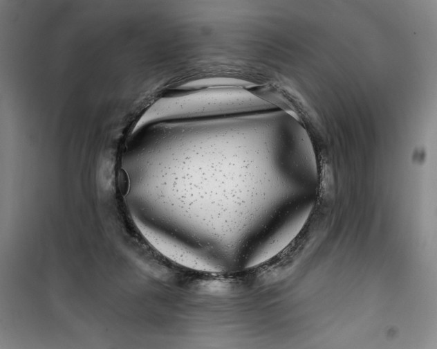 X0000100970259200807151358