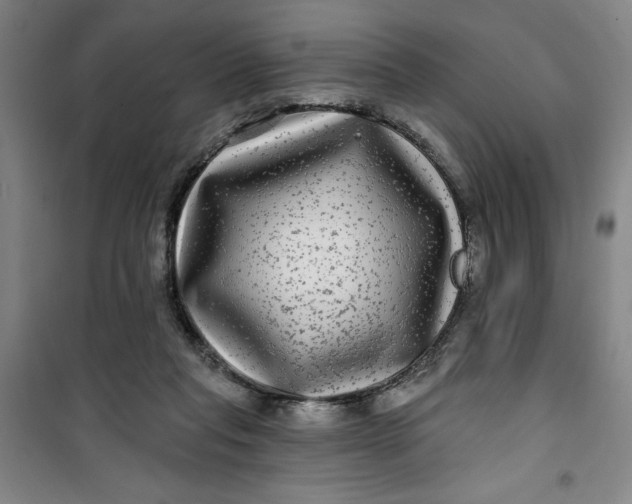 X0000100970261200807151358