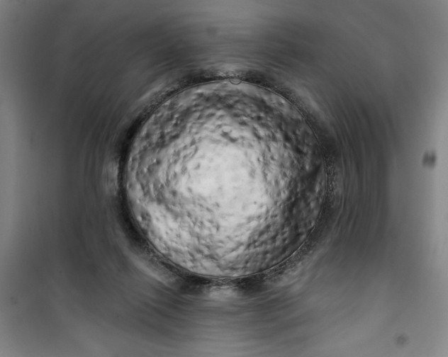 X0000100970262200807151358
