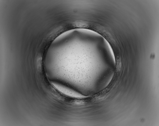 X0000100970263200807151358