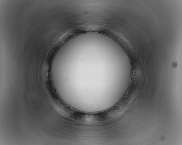 X0000100970264200807151358