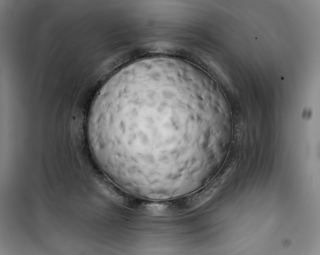 X0000100970265200807151358